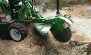 Stump grinding is an efficient way to remove stumps