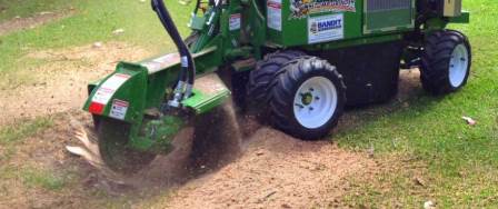 Stump grinding to remove stumps