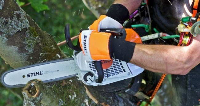 Arbator offer affordable range of tree pruning services